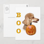 Abrikoos gecoate poedelzak Boo Briefkaart (Voorkant / Achterkant)