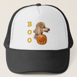 Abrikoos gecoate poedelzak Boo Trucker Pet