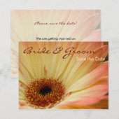 Abrikoos Gerbera · Save the Date Briefkaart (Voorkant / Achterkant)