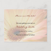 Abrikoos Gerbera · Save the Date Briefkaart (Achterkant)