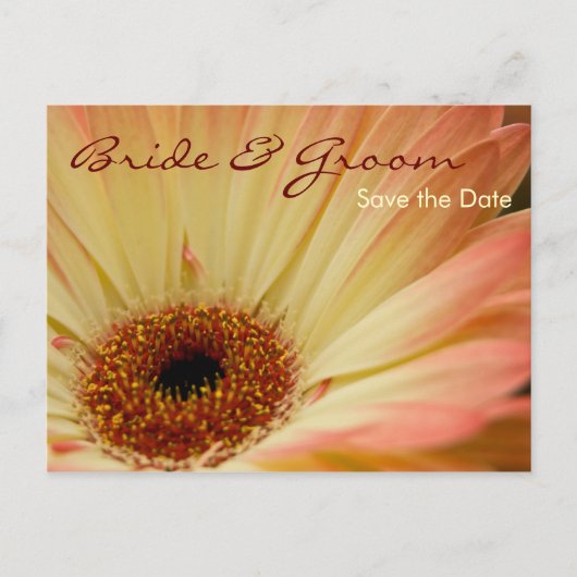 Abrikoos Gerbera · Save the Date Briefkaart (Voorkant)