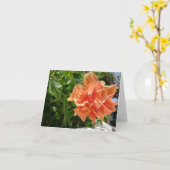 Abrikoos Hibiscus tropische bloem blanco notitieka Kaart (Gele Bloem)