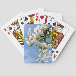 Abrikoos lente bloesem. pokerkaarten