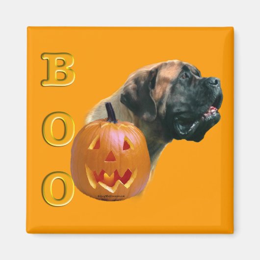 Abrikoos Mastiff Boo Magnet (Voorkant)