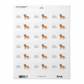 Abrikoos Mini Goldendoodle Cartoon Hond & Tekst Etiket (Full Sheet)