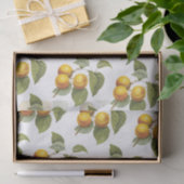 Abrikoos perzik Patroon Tissuepapier (Geschenk)