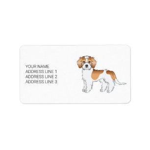 Abrikooskleurige Parti-kleur Mini Goldendoodle Hon Etiket