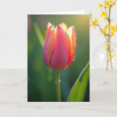 Abrikozen Bloemige Moeders Kaart (Gele Bloem)