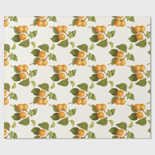 Abrikozen Cadeaupapier (Vlak)