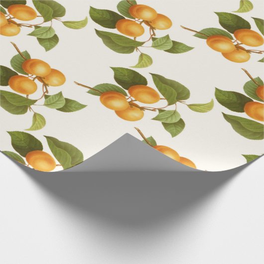 Abrikozen Cadeaupapier (Hoek)