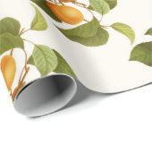 Abrikozen Cadeaupapier (Rol Hoek)