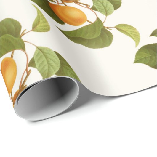 Abrikozen Cadeaupapier (Rol Hoek)