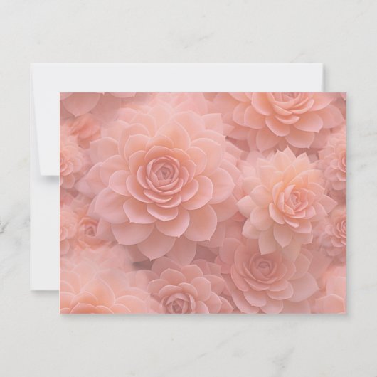 Abrikozen Crush Succulente Kleuren Kaart (Achterkant)