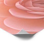 Abrikozen Crush Succulente Kleuren Poster (Hoek)