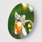 Abrikozen Daffodil Wall klok (Hoek)