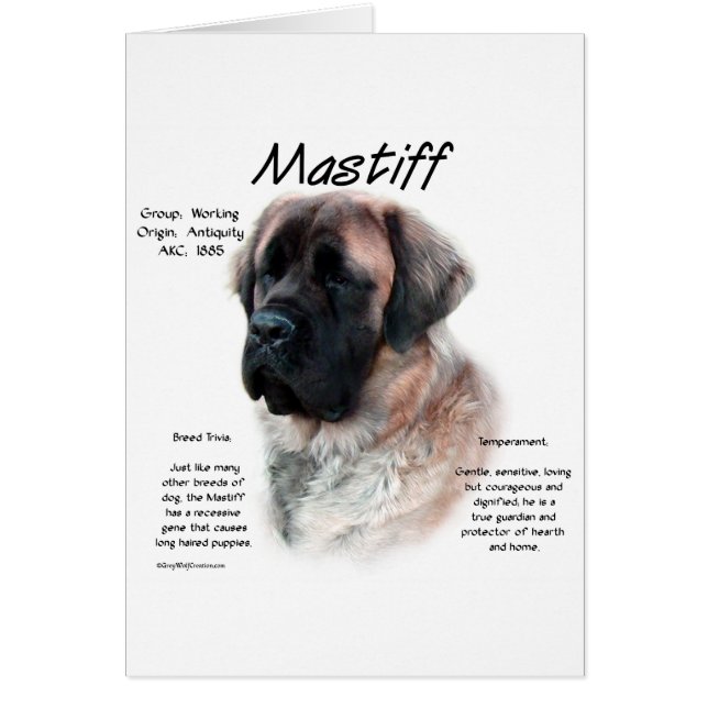 Abrikozen Fluffy Mastiff Geschiedenis (Voorkant)