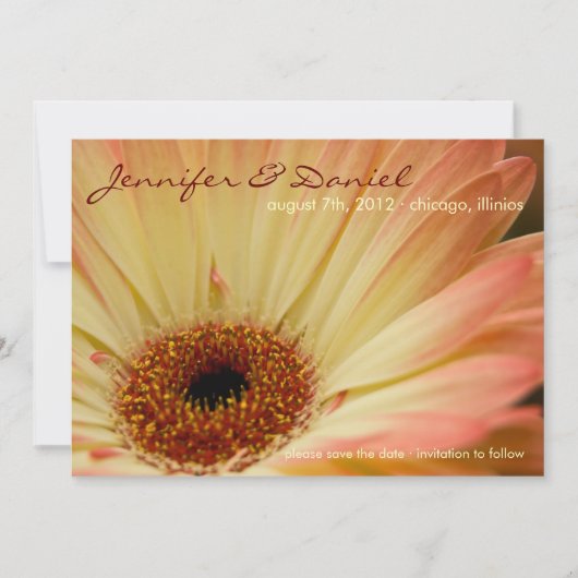 Abrikozen Gerbera • Sla de datum op aankondiging (Voorkant)