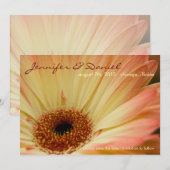 Abrikozen Gerbera • Sla de datum op aankondiging (Voorkant / Achterkant)