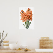 Abrikozen Hyacint Bloemenkunst Print Poster (Keuken)