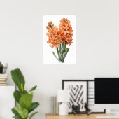 Abrikozen Hyacint Bloemenkunst Print Poster (Thuiskantoor)