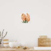 Abrikozen Hyacint Bloemenkunst Print Poster (Keuken)