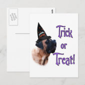 Abrikozen Mastiff Trick Briefkaart (Voorkant / Achterkant)