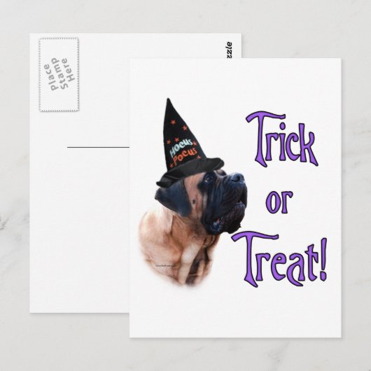 Abrikozen Mastiff Trick Briefkaart (Voorkant / Achterkant)