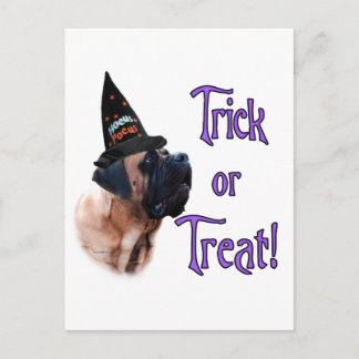 Abrikozen Mastiff Trick Briefkaart