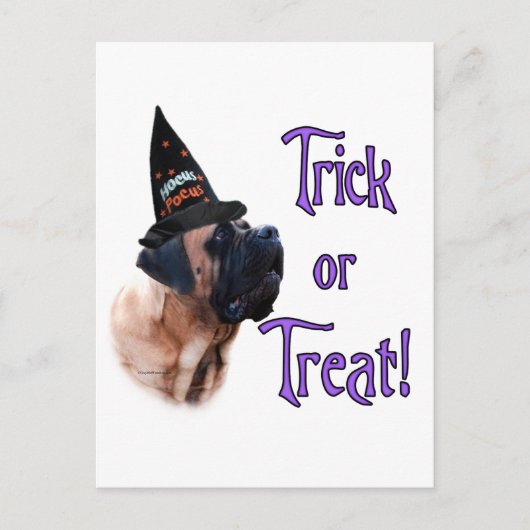 Abrikozen Mastiff Trick Briefkaart (Voorkant)