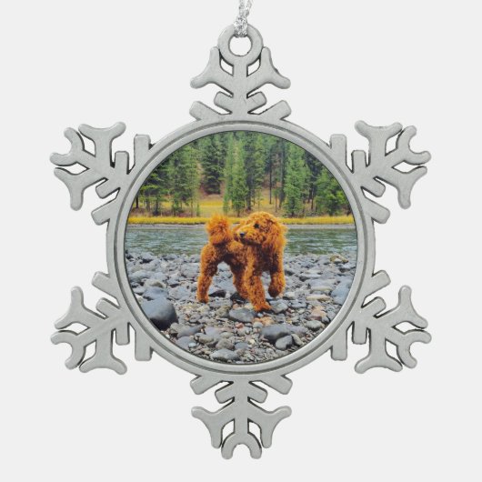 Abrikozen Poodle - Aanpasbare Cadeau Tin Sneeuwvlok Ornament (Voorkant)