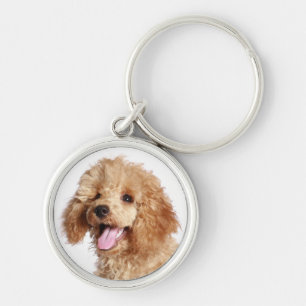 Abrikozen Poodle Moeder Puppy Hond Vader Vacht Mam Sleutelhanger