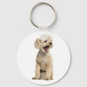 Abrikozen Poodle Puppy Hond Sleutelhanger