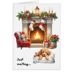 Abrikozen Poodle Puppy Hond Wacht op Kerstmis