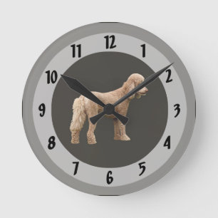 Abrikozen Poodle Ronde Klok