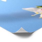 Abrikozen Poster (Hoek)