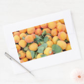 Abrikozen Rechthoekige Sticker (Envelop)