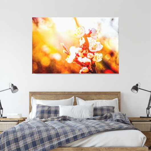 Abrikozen Sakura-bloemen in het licht van de staan Canvas Afdruk (Insitu (Slaapkamer))