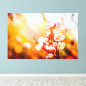 Abrikozen Sakura Bloesems In Het Licht Van De Onde Canvas Afdruk (Insitu (Houten vloer))