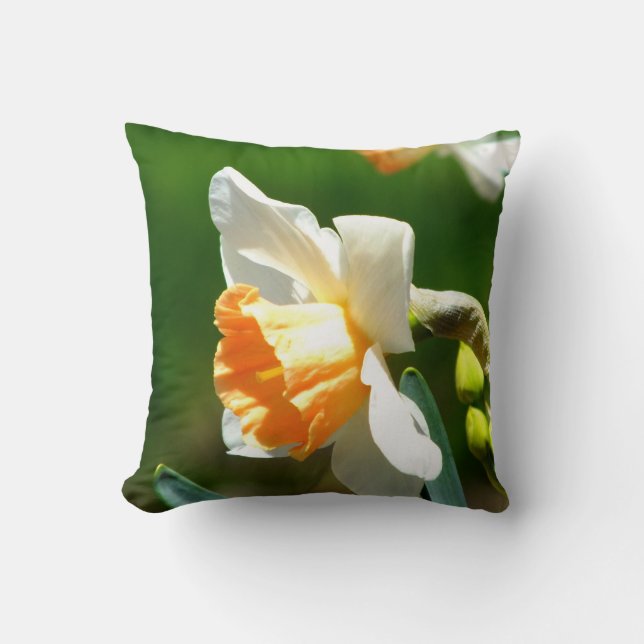 Abrikozen Sierkussen Daffodil (Voorkant)