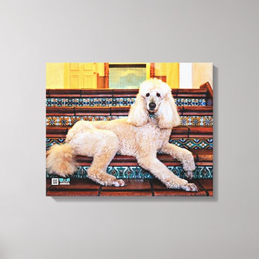 Abrikozen standaard poedel - Bocelli Canvas Afdruk (Voorkant)