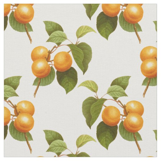 Abrikozen Stof (Close Up)