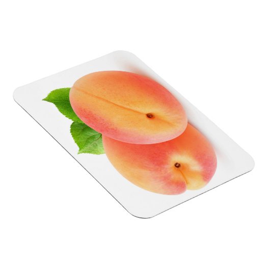 abrikozen, vers magneet (Rechterzijde)