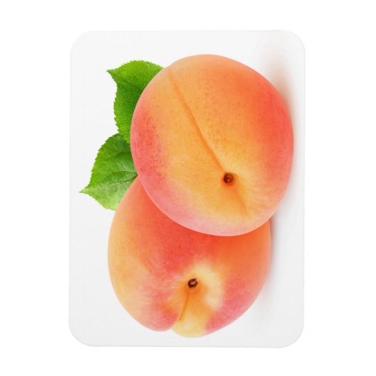 abrikozen, vers magneet (Verticaal)