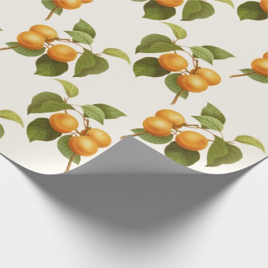 Abrikozenafdrukken Cadeaupapier (Hoek)