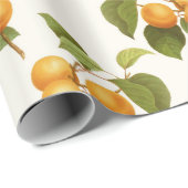 Abrikozenafdrukken Cadeaupapier (Rol Hoek)