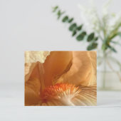 Abrikozenbebaarde iris Briefkaart (Staand voorkant)