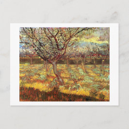 Abrikozenbomen in bloei door Van Gogh Briefkaart