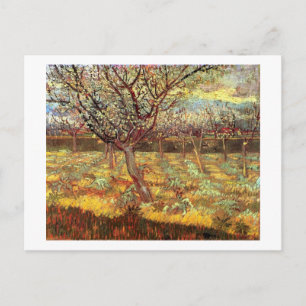 Abrikozenbomen in bloei door Van Gogh Briefkaart