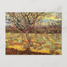 Abrikozenbomen in bloei door Van Gogh Briefkaart