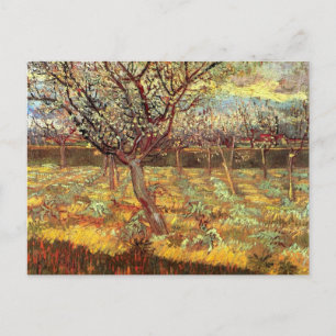 Abrikozenbomen in bloei door Van Gogh Briefkaart